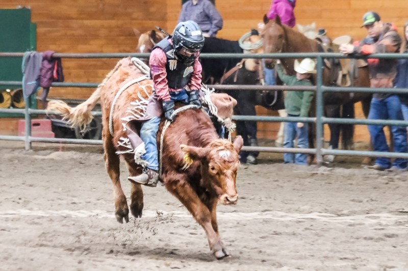 Steer rider Glen Erickson competes at the Nov. 19 Mountain View Cowpoke Junior Rodeo Club event. He tied for third.