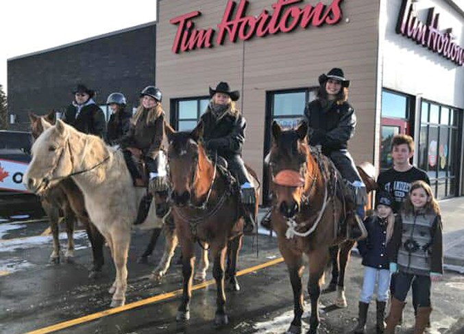 tim horton horse