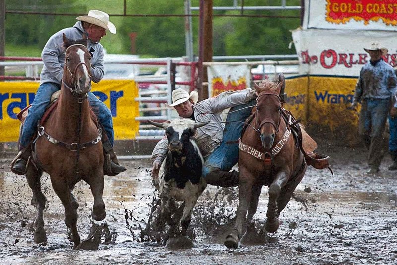 Baillie Milan, right, of Cochrane competes in the steer wrestling section of the rodeo.