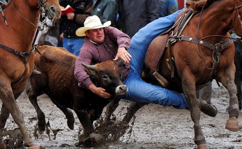 Travis Carnine takes a 16.7 on Wednesday&#8217;s steer wrestling competition in the 52nd annual Daines Ranch Rodeo.