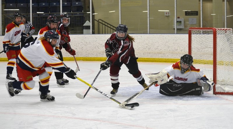 The Central Alberta Amazons finished the regular season in second place in its division with a 16-12 record. Playoffs began on Feb. 25.