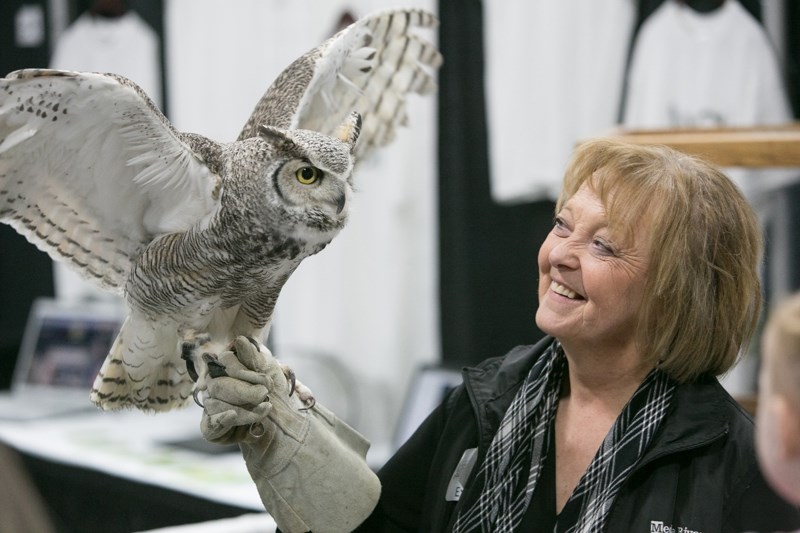 Carol Kelly holds Otis at the Medicine River Wildlife Centre booth at the Innisfail Trade Show April 22