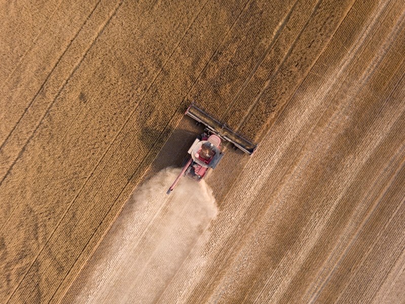 The dry conditions of the summer are forcing farmers to work quickly to get their crops harvested.