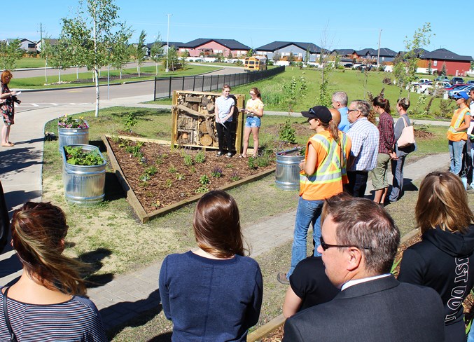 Web Pollinator Garden