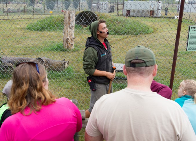 Jacob Gregoryk leads the tiger show during Zoofest.