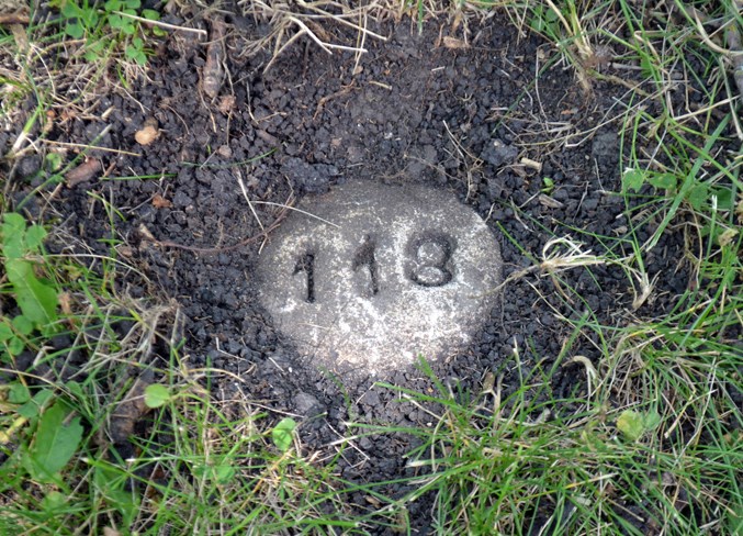 Web Walter stone number marker