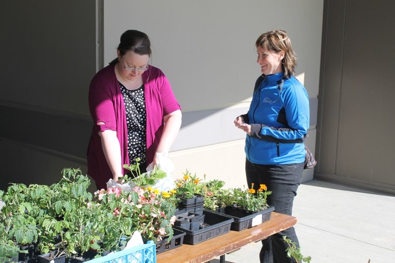 Julie Dallaire (far right), for the town of Penhold, buys fresh potting flowers from a vendor at the Penhold market on June 5.