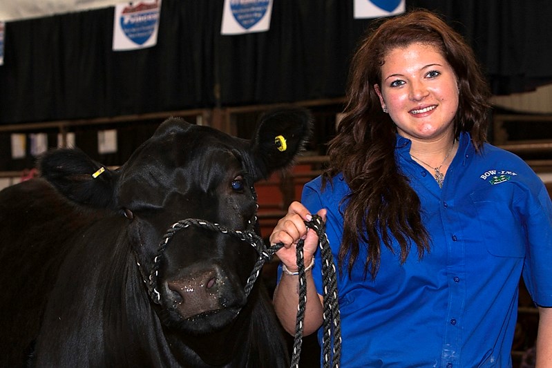 Innisfailian Nicki Ross captured six awards at the recent annual Red Deer &#038; District 4-H Beef Show.