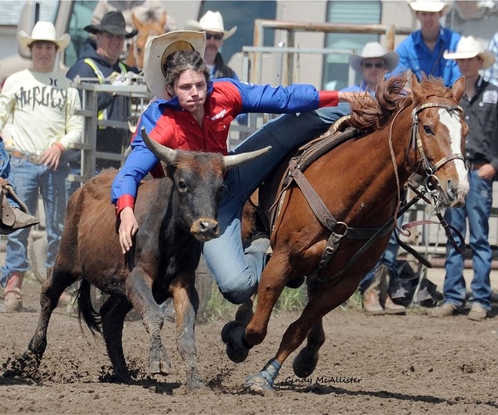 Landon Beardsworth dismounts his horse to wrestle a steer during a recent rodeo.