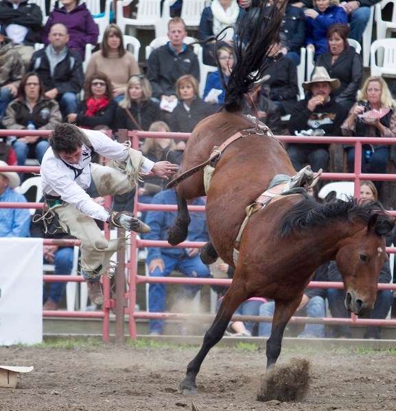 A cowboy is bucked off during the bareback event of the Glencross Charity Roughstock Rodeo Event on Aug. 22.