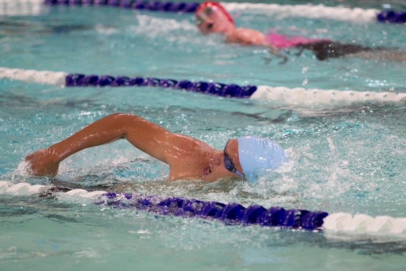 Two swimmers compete in the 2014 Innisfail Triathlon swimming section of the event. More than 200 triathletes competed.