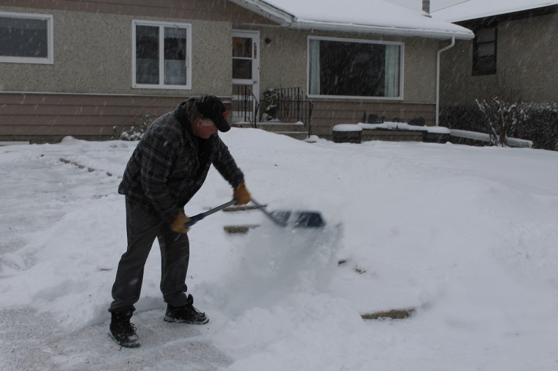 Innisfailian Don Humphrey shovels snow during the recent snowfall to clear the driveway.