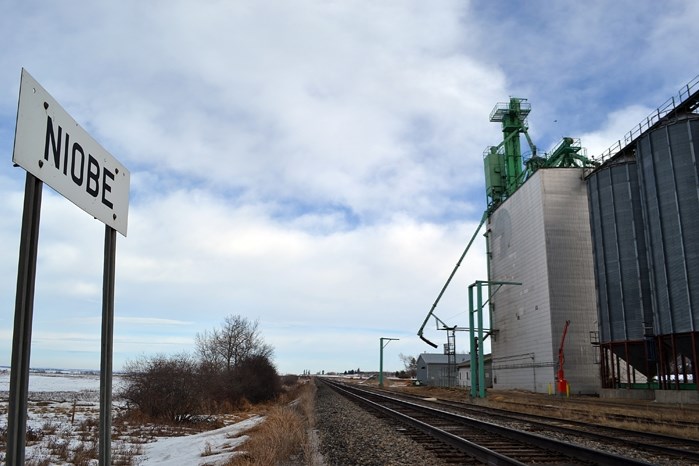 The new massive grain terminal at Niobe that was approved by Red Deer County last week will be built across the rail track to the west of the existing north elevator.