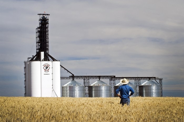 Bowden&#8217;s new facility, similar to the one pictured here, will have storage capacity of more than 55,000 metric tonnes with a 3,955- metre track loop to load up to150