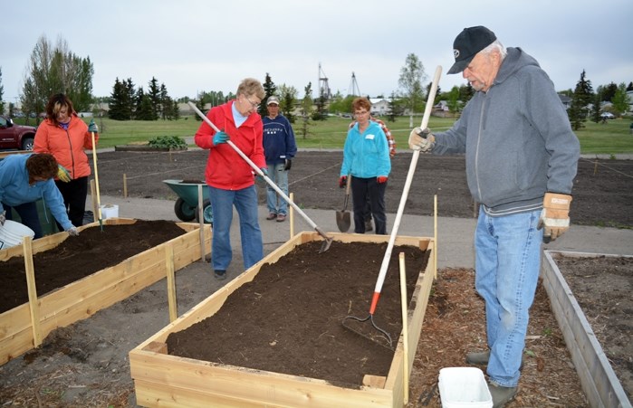 Members of the Innisfail Community Garden were out earlier this month preparing garden beds and plots for the growing season, which officially began in Innisfail on May 16.