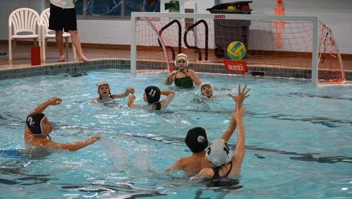 Members of the Innisfail Hurricanes will hit the water with the new water polo season starting Sept. 12.