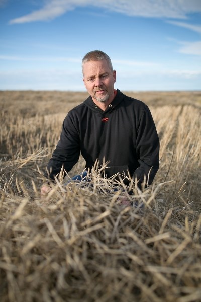 Innisfail area Dale Ray at his field 23 kilometres east of town.