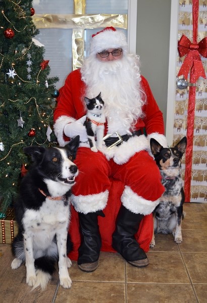 Dozens of dogs, cats and other family pets had their pictures taken with Santa at Poplar Grove Veterinary Services in Innisfail on Dec. 3. The event raised cash and food