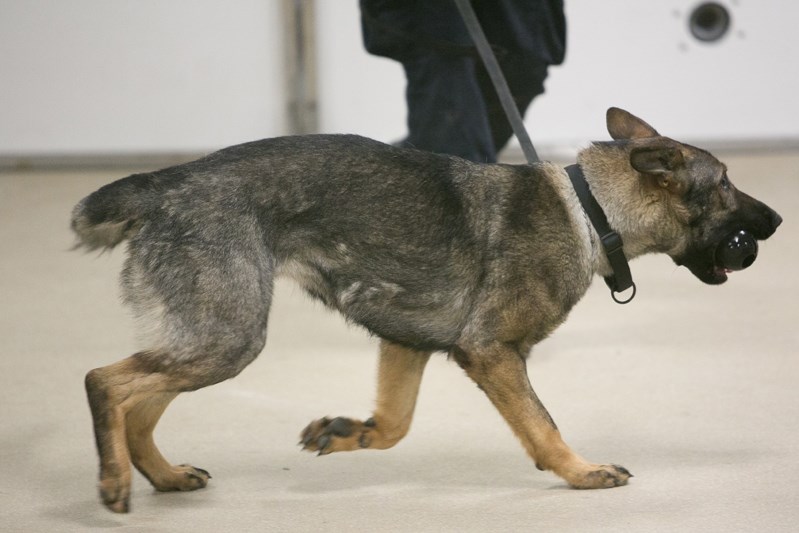 Staff Sgt. Eric Stebenne, senior trainer at the training centre, explains the function of a device that contains a smal dose of fentanyl and also fires out a chew toy to