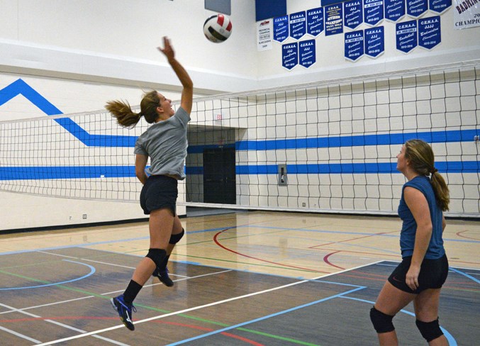 Web Volleyball