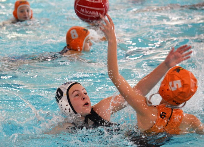 Web Water Polo