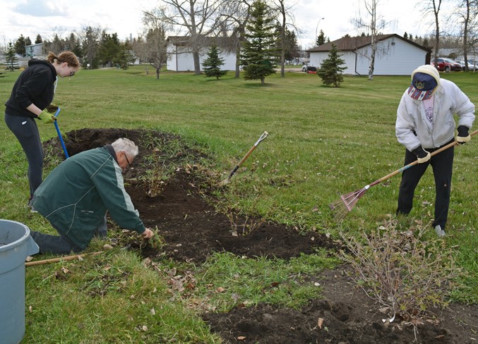 Community Garden Web