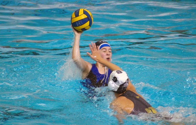 Water Polo Gold