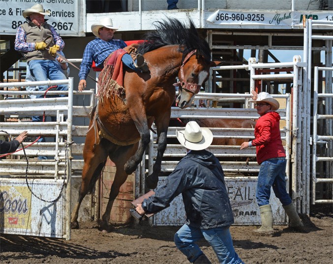 Innisfail Pro Rodeo