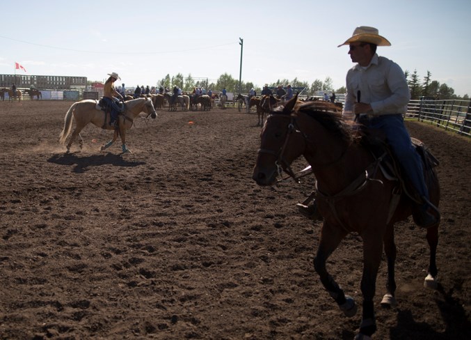 web bowden team roping-1