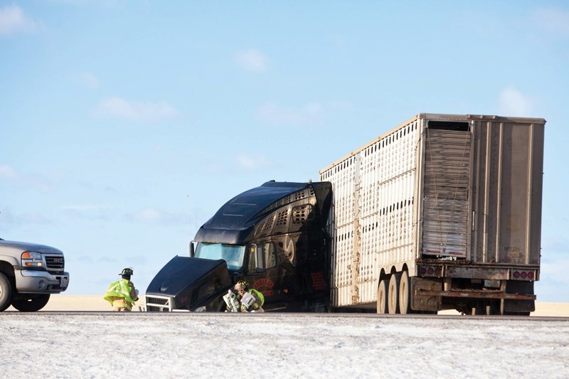 Firefghters respond to a cattle hauler that jackknifed on Highway 2 just north of Olds last Friday. High winds and ice on the highway contributed to multiple motor vehicle