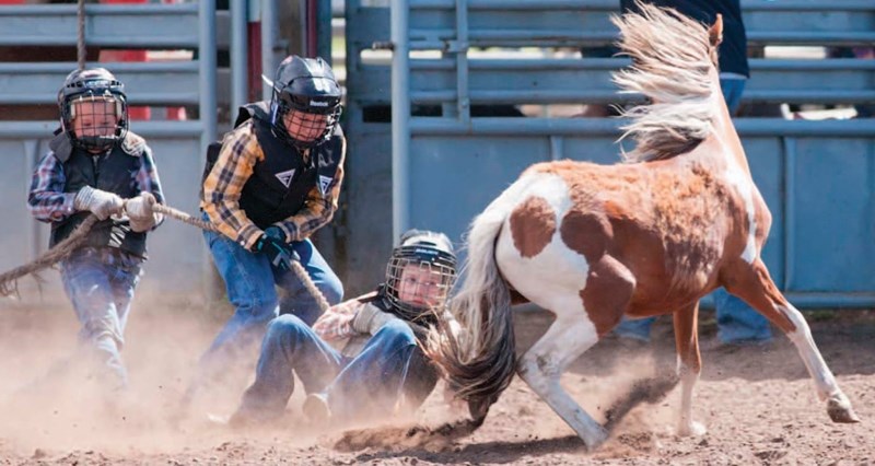 The Whyat Walker team competes in the wild pony race during the 2013 Bowden Daze rodeo. This year&#8217;s Bowden Daze runs from July 25 to 27. CLICK ON PHOTO FOR LARGER IMAGE