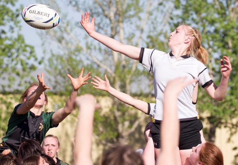 Olds High School Spartans rugby player Statia Powell reaches for the ball during a line out.