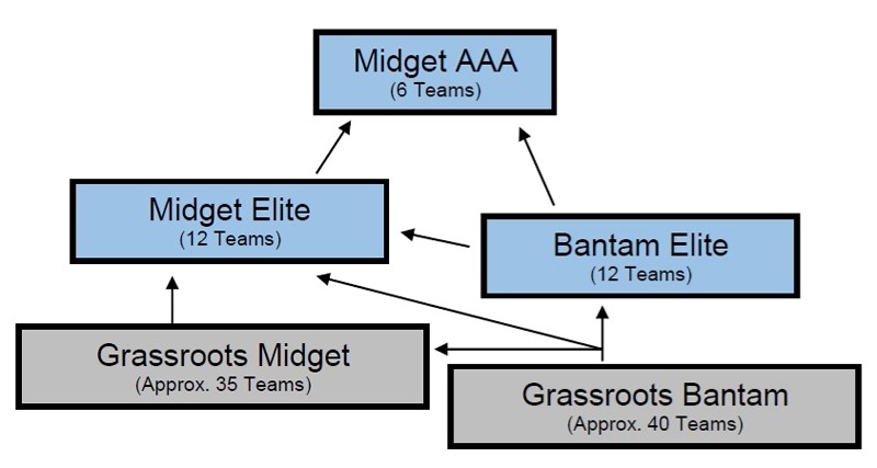 This is the Female Hockey Alberta Development Model.