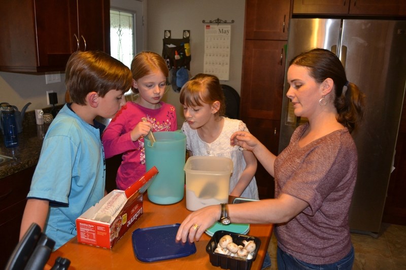 TEA FOR YOU &#8212; Adelaine Johnstone, 9, stirs iced tea as her brother Ethan, 7, (left), and Ellie, 11, watch closely. Meanwhile, their mom Naomi puts the lid back on the