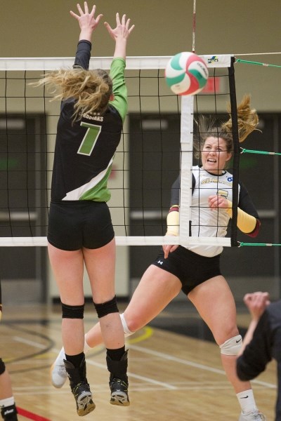 Olds College Broncos women&#8217;s volleyball player Janelle Neyron spikes the ball during the Broncos&#8217; game against the Lethbridge College Kodiaks at the Ralph Klein