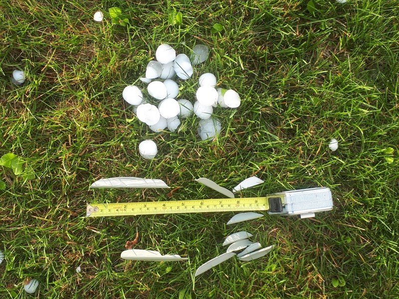 Here&#8217;s a look at some of the hailstones that fell in Olds on July 28, along with evidence of the damage they did to siding on one of the homes in town.