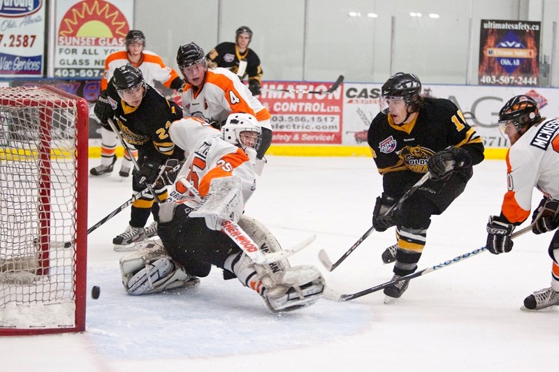 Olds Grizzlys player Brandon Clowes scores on the Drumheller Dragons goaltender during their game at the Olds Sportsplex last Friday. The Grizzlys won the game 5-1.