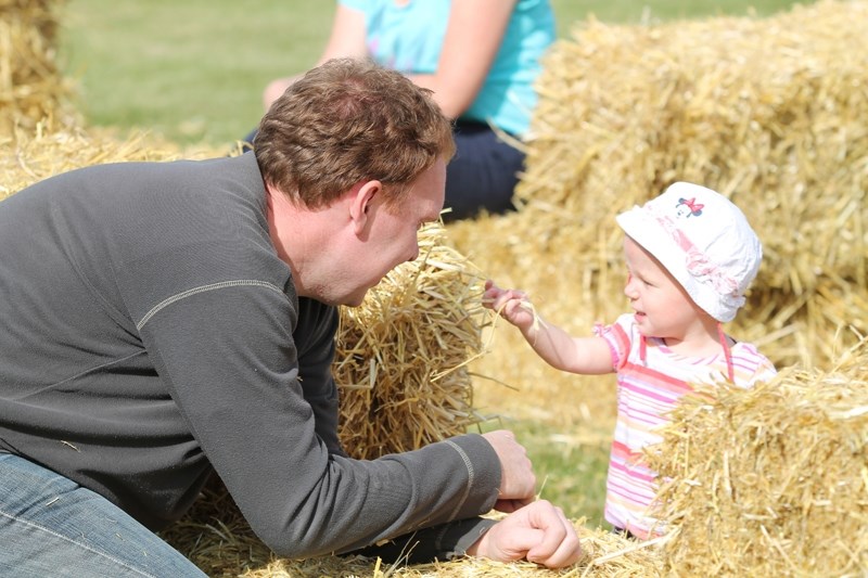 Noud Wellen of Holland plays with his young daughter Meika in a straw maze at the Olds Harvest Festival on Sept. 21.