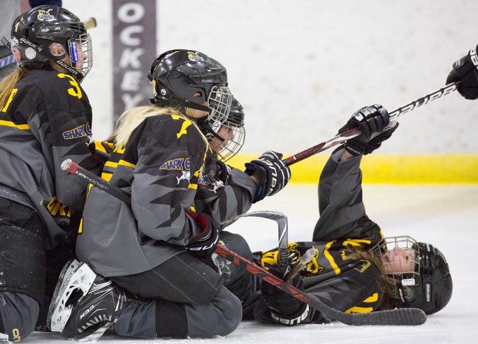 Webfemale peewee grizzlys-1