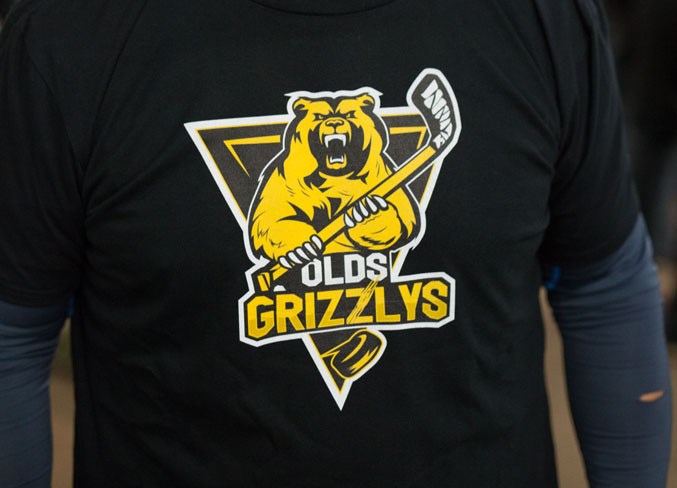 Webgrizzlys new logo-1