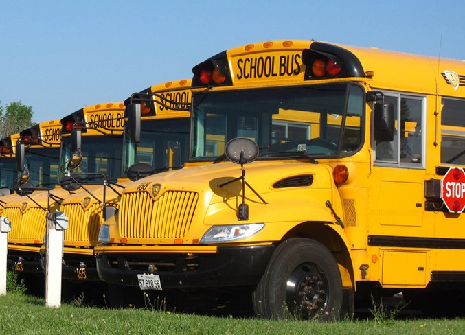 WebSchoolbuses