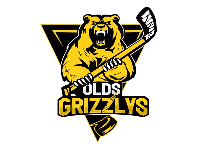 NewGrizzPRIMARYlogoWeb