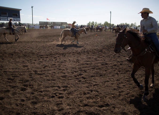 WebBowden team roping-1