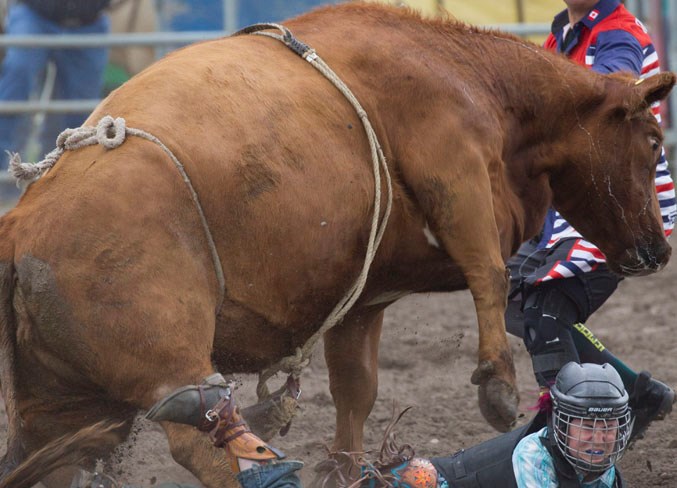 WebBowdenRodeoBullKid-7