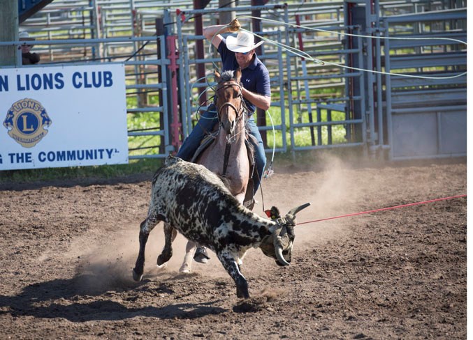 WebBowdenTeam roping-3