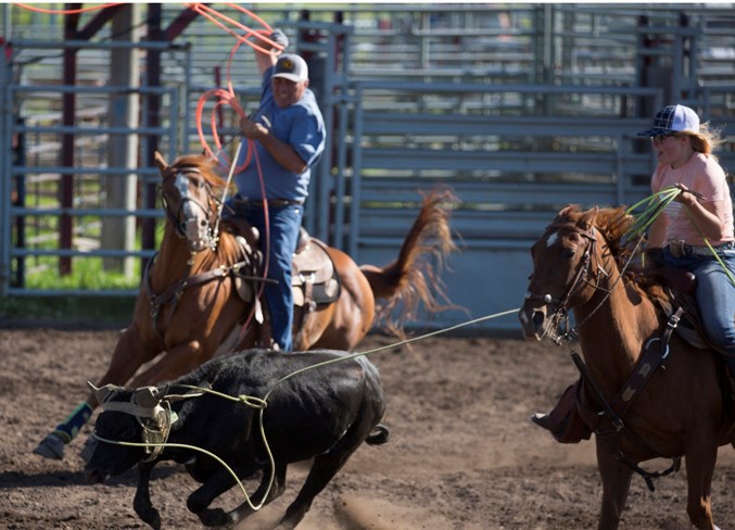 WebBowdenTeamRoping-2