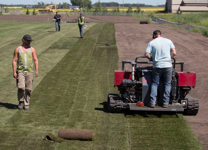 Workers lay sod at the Rotary Athletic Park.