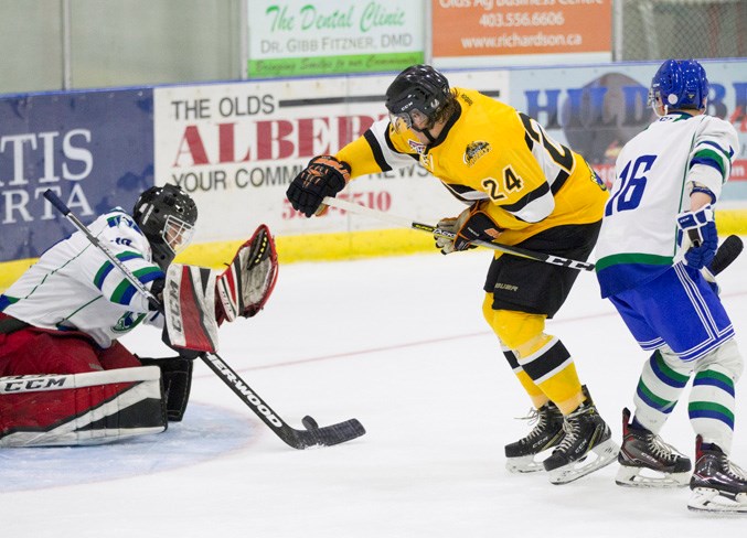 Webaug 30 grizzlys-3