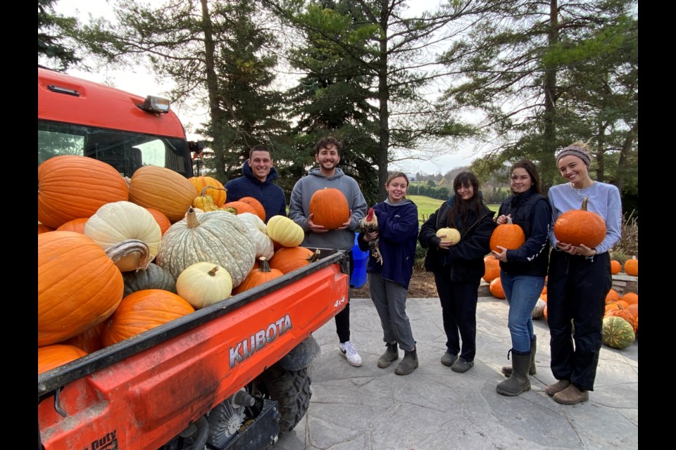 Aryan Sadghian and Sebastian Stanescu donated 3,300 pounds of pumpkin.