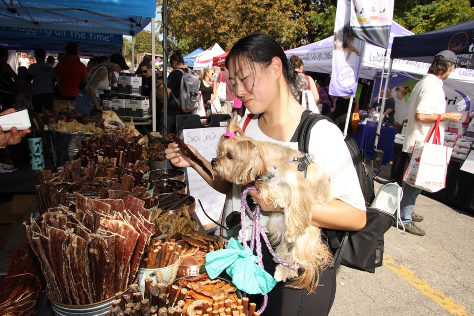 Penny gets to choose a treat at New'bark'et, a festival for dogs and dog lovers, at Lions Park Sept. 10 and 11.  Greg King for NewmarketToday